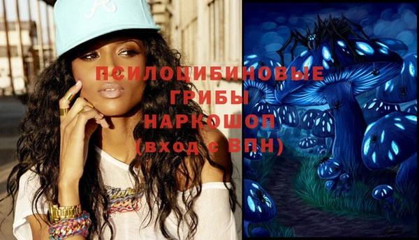 прущие крисы Киренск